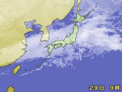 2008�N1��29�� �q���摜