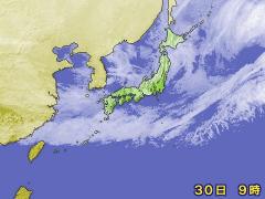 2008�N1��30�� �q���摜