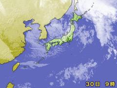 2007�N12��30�� �q���摜